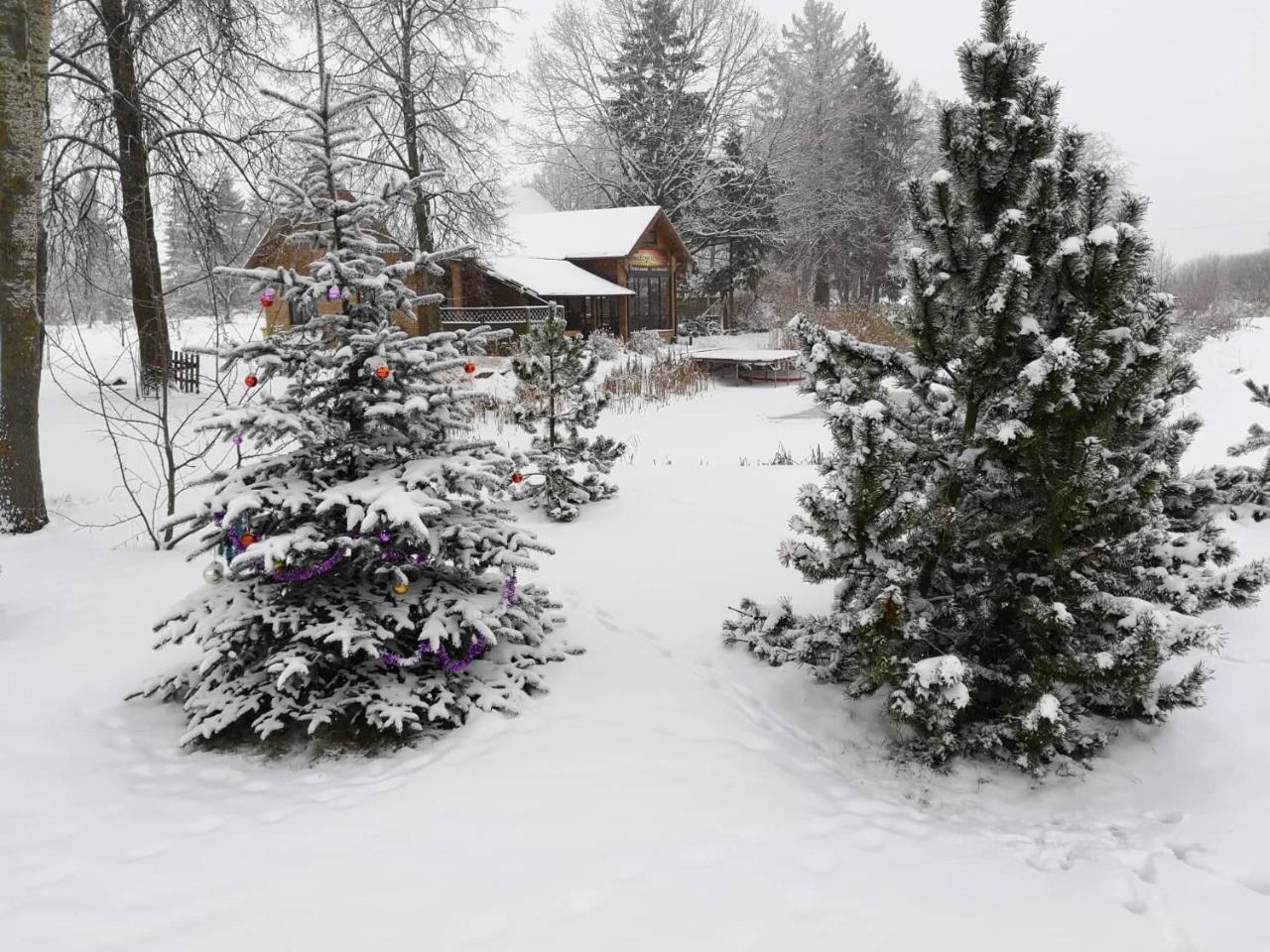 Penzion Raudonkalnis Mankiskiai Exteriér fotografie